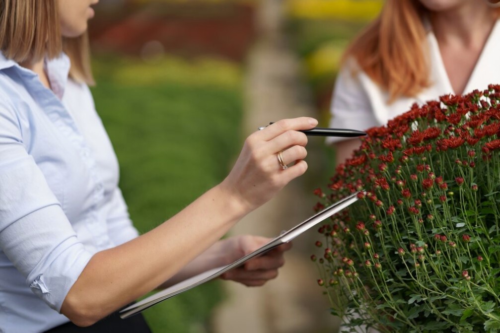 donna intenta a comprare una pianta e che tiene in mano il suo giornale di giardinaggio contenente consigli su come progettare un giardino da soli