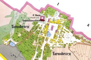 mappa catastale dettagliata di una proprieta